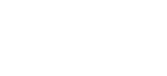 MERCURIO SRL